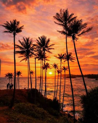 Mirissa Sunset